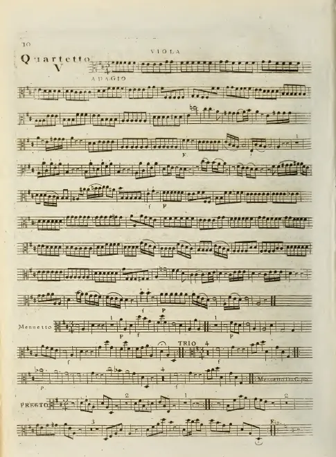 Viola