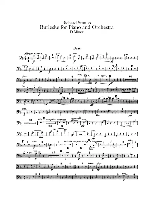 Basses