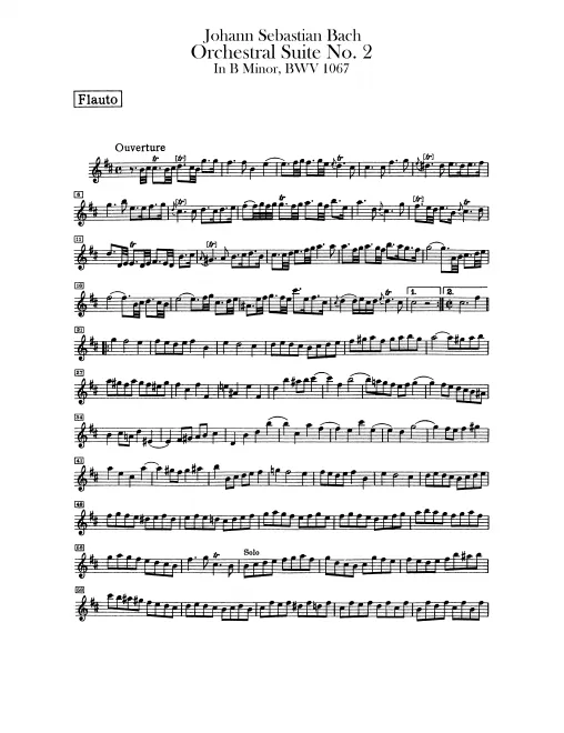 Flute
