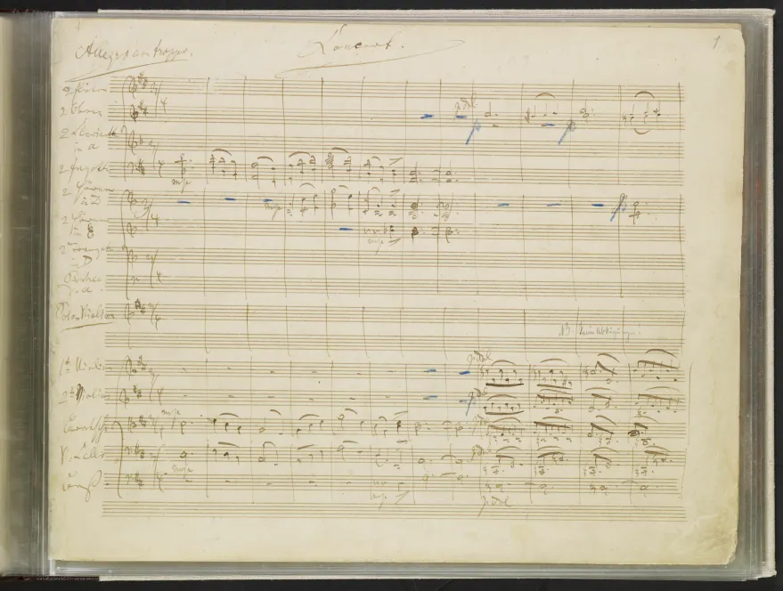 1. Allegro non troppo (segment 1)