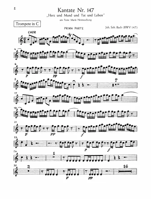 Trumpet (C)