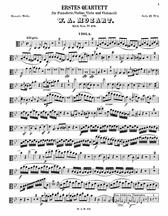 Viola