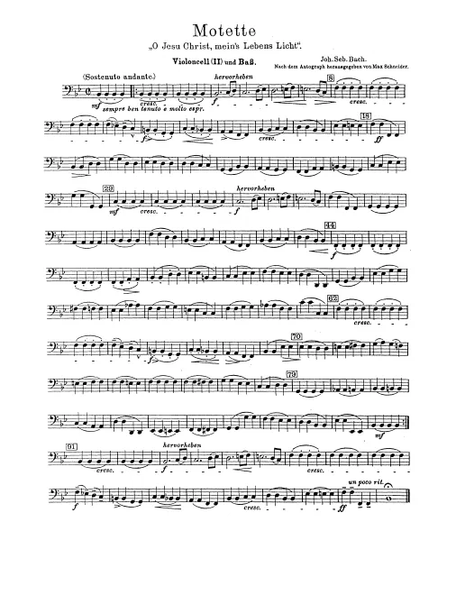 Cellos II/Basses
