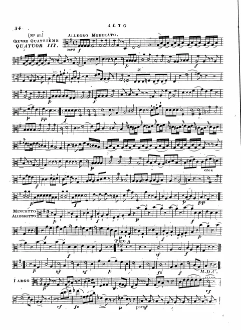 Viola