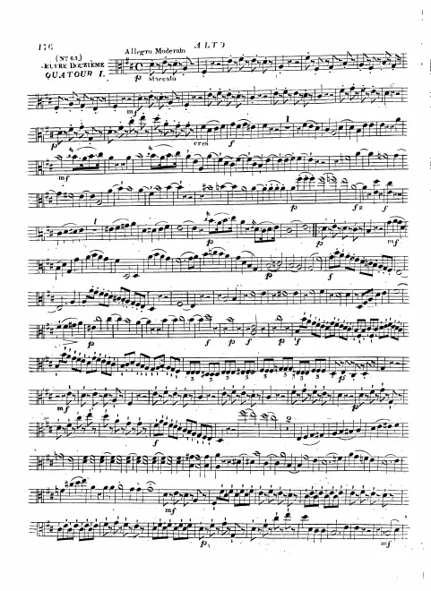 Viola