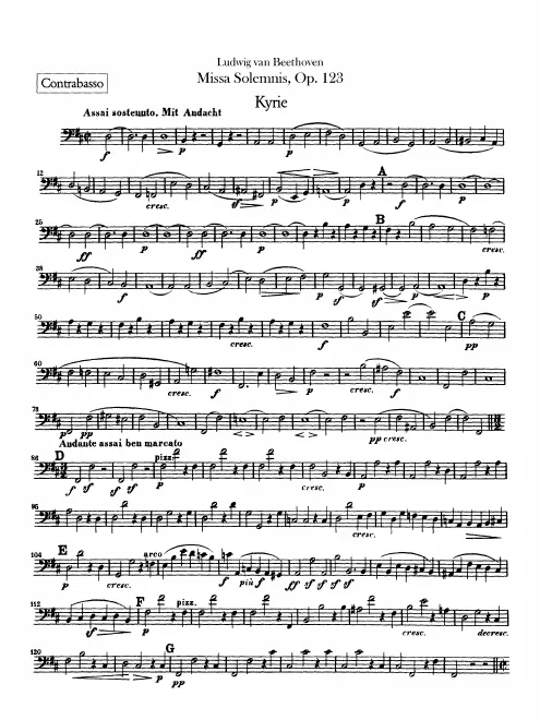 Basses