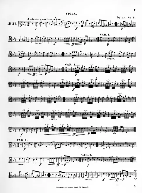 Viola