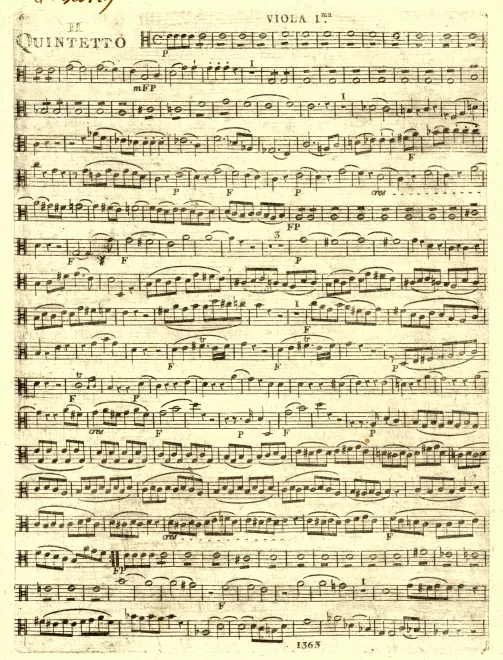 Viola 1