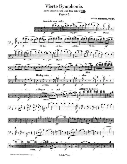 Bassoon 1