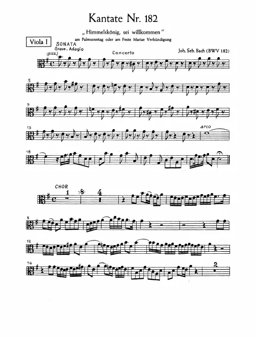 Violas I