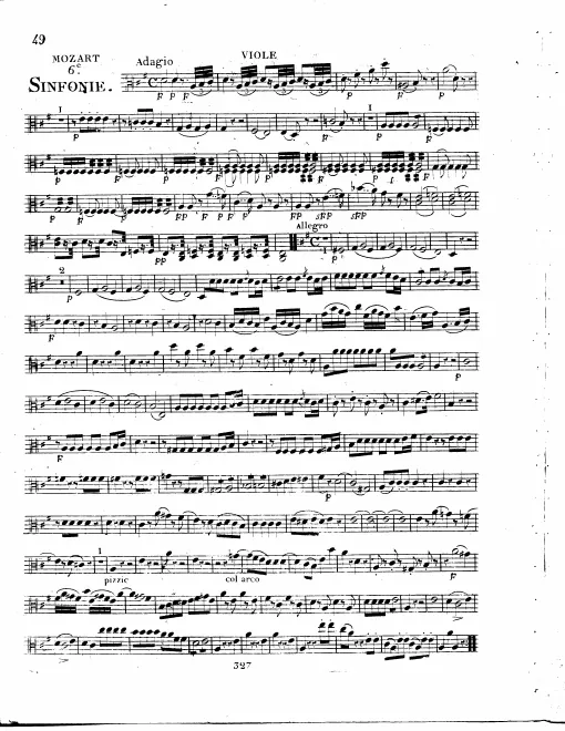 Violas