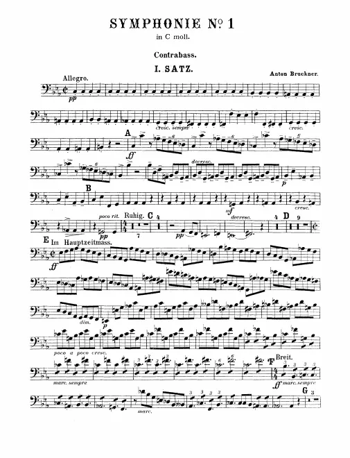 Basses