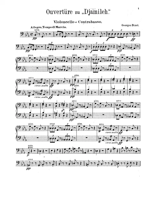 Cellos/Basses