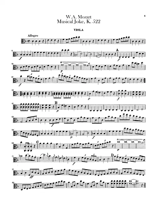 Viola