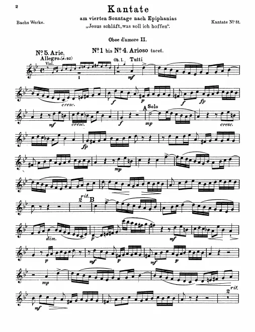 Oboe d'amore 2