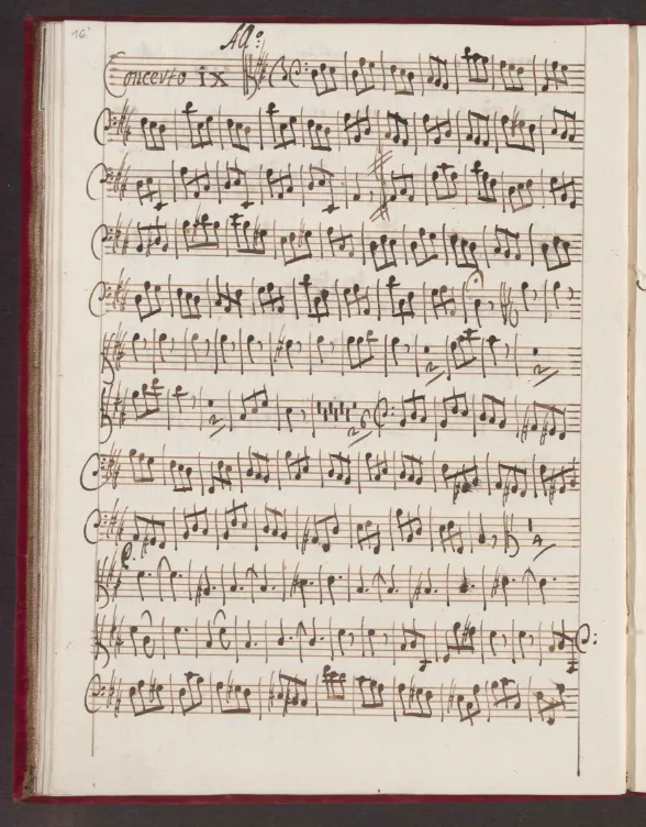 Viola