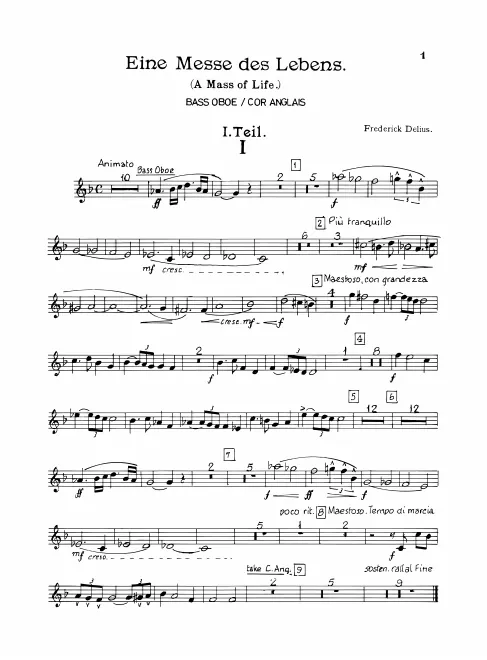 Bass Oboe/English Horn