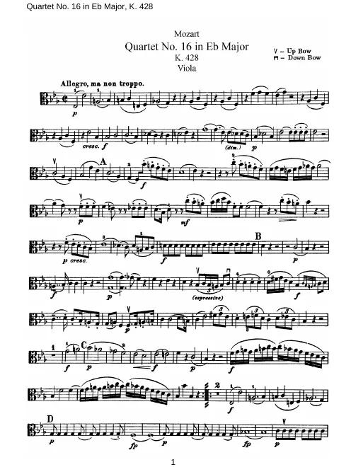 Viola