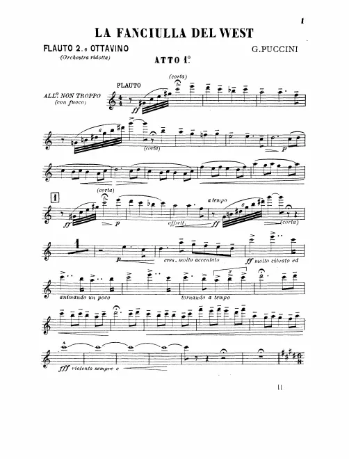 Flute 2/Piccolo
