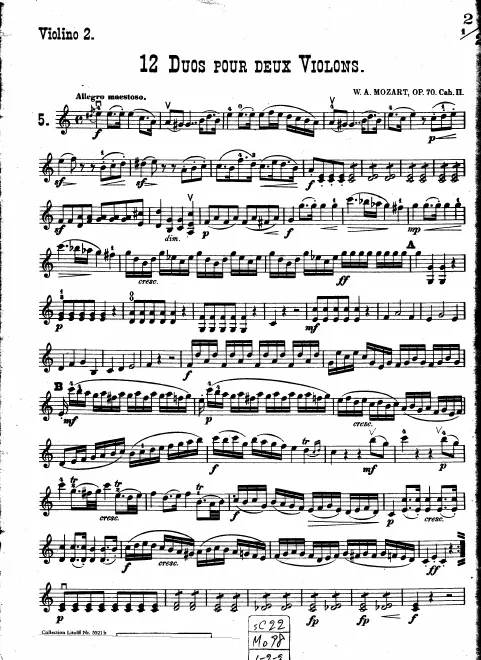 Violin 2