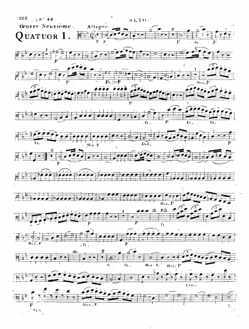 Viola