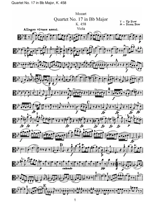 Viola