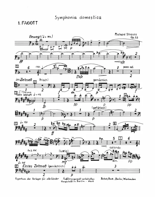 Bassoon 1
