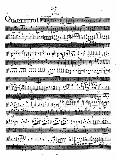 Viola