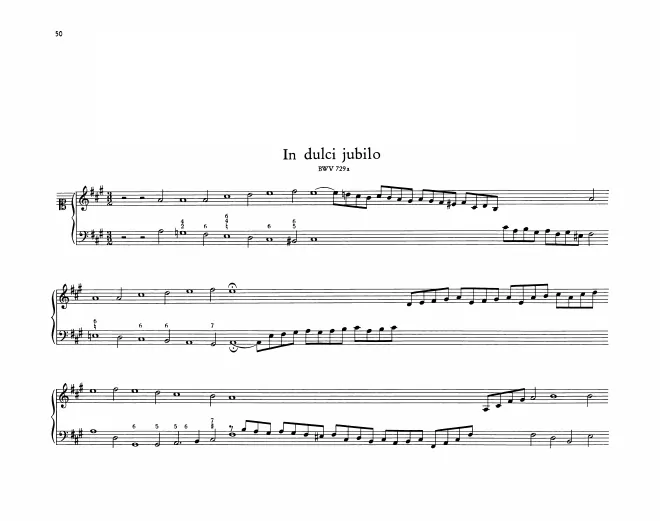 In dulci jubilo, BWV 729a