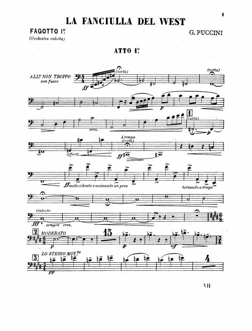 Bassoon 1