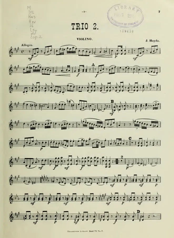 Violin