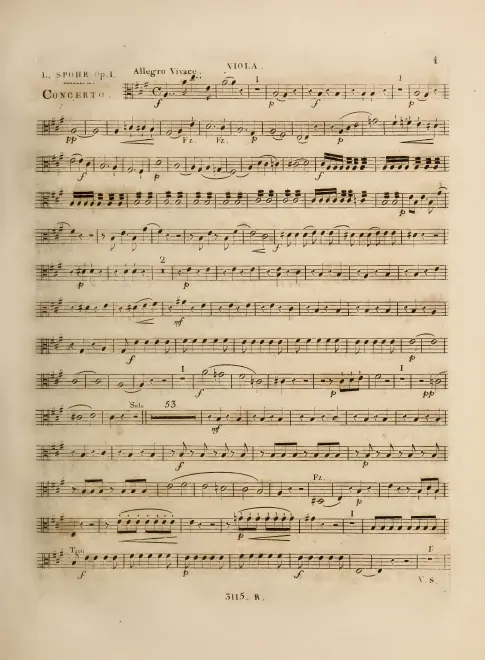 Viola