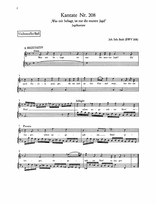 Cellos/Basses