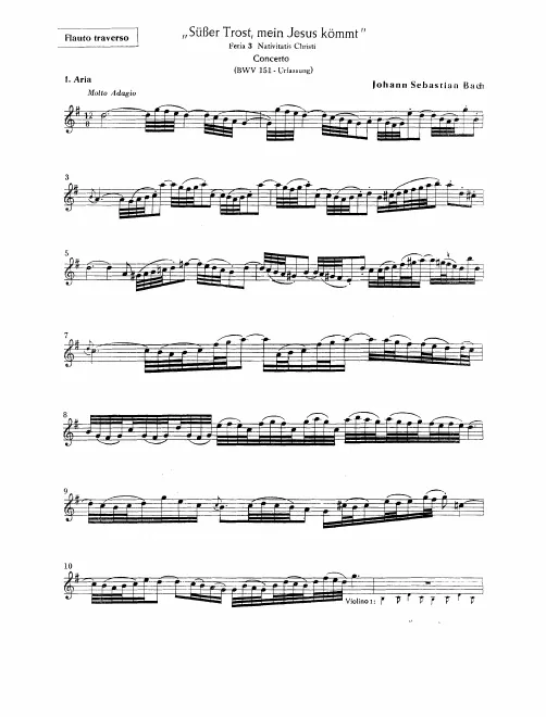 Flute