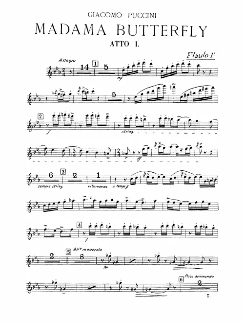 Flute 1
