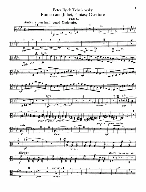 Violas