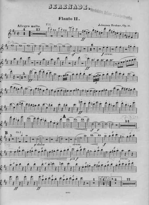 Flute 2