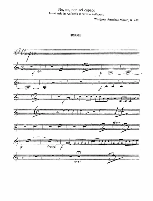 Horn 2 (C)