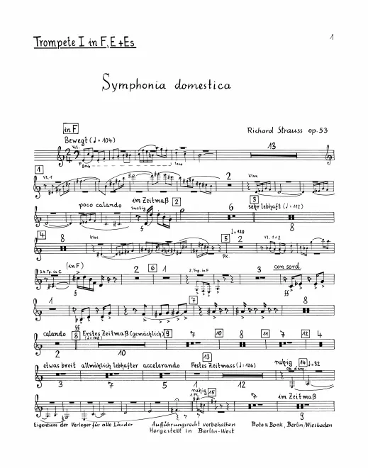 Trumpet 1 (F/E/E)