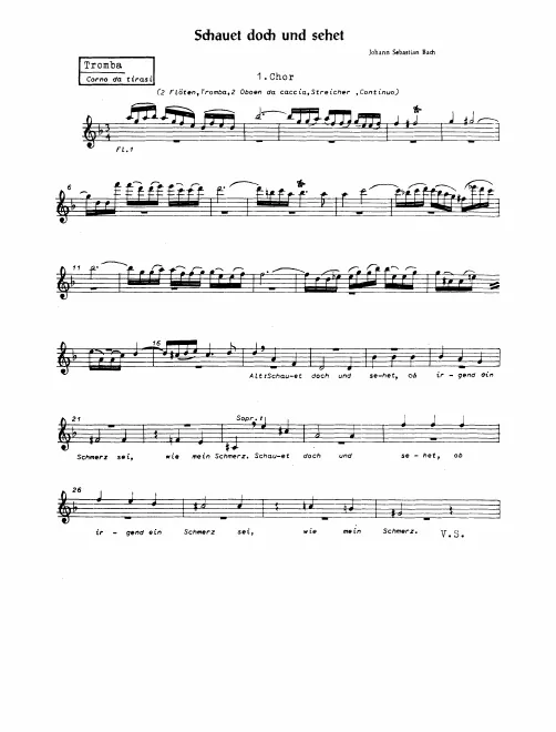 Corno da tirasi (Trumpet)
