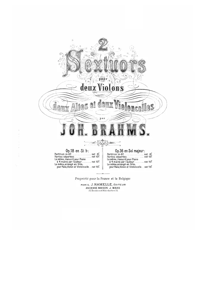 Violin 2