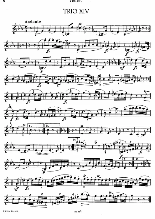 Violin