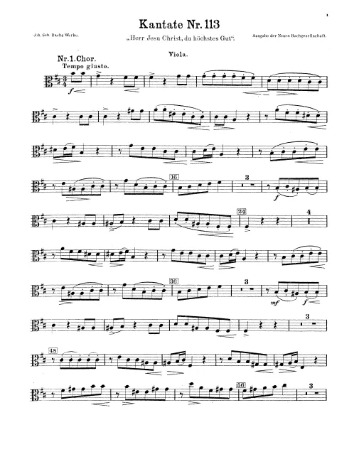 Violas