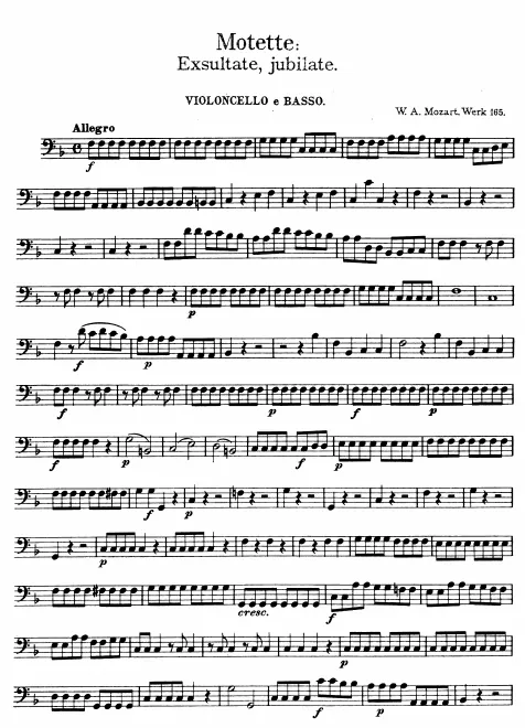 Cellos/Basses