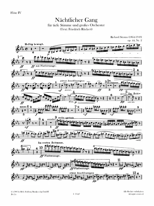 Flute 4