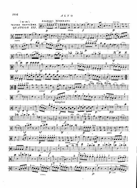 Viola