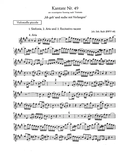 Violoncello Piccolo