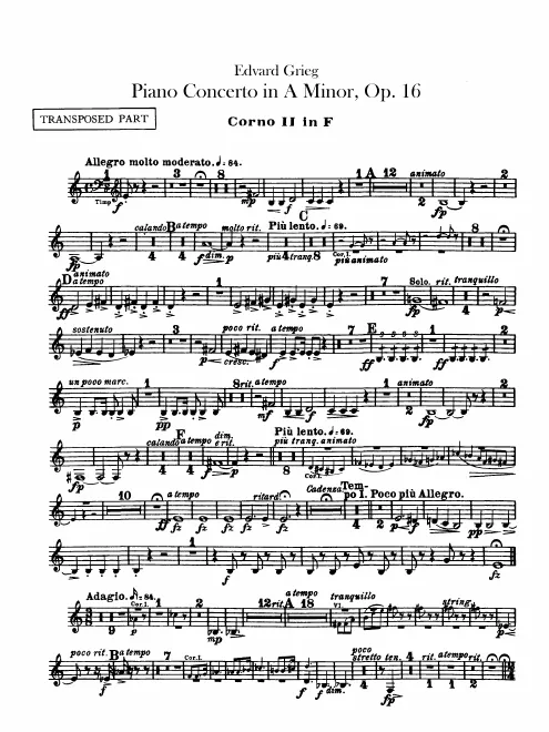 Horn 2 (F, transposed)