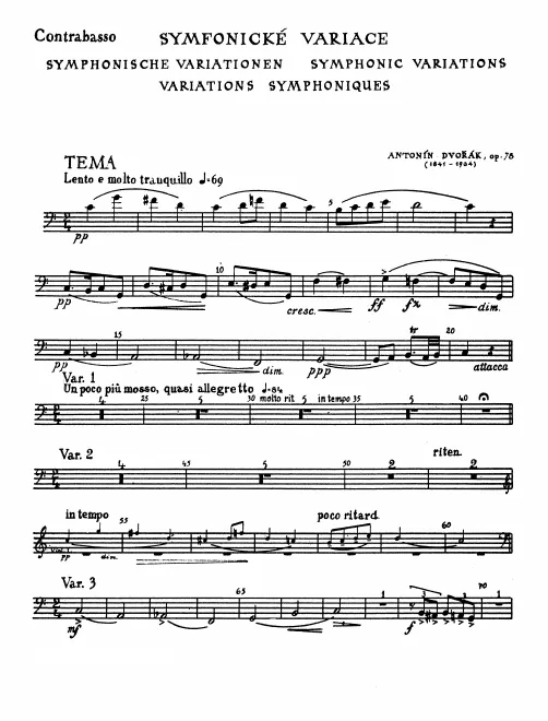 Basses
