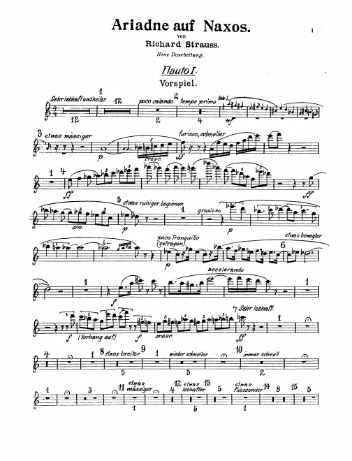 Flute 1